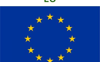 Basic Brown 16 (C009) – SCCS Draft Opinion