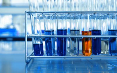 7th International Conference on Toxicity Testing Alternatives and Translational Toxicology