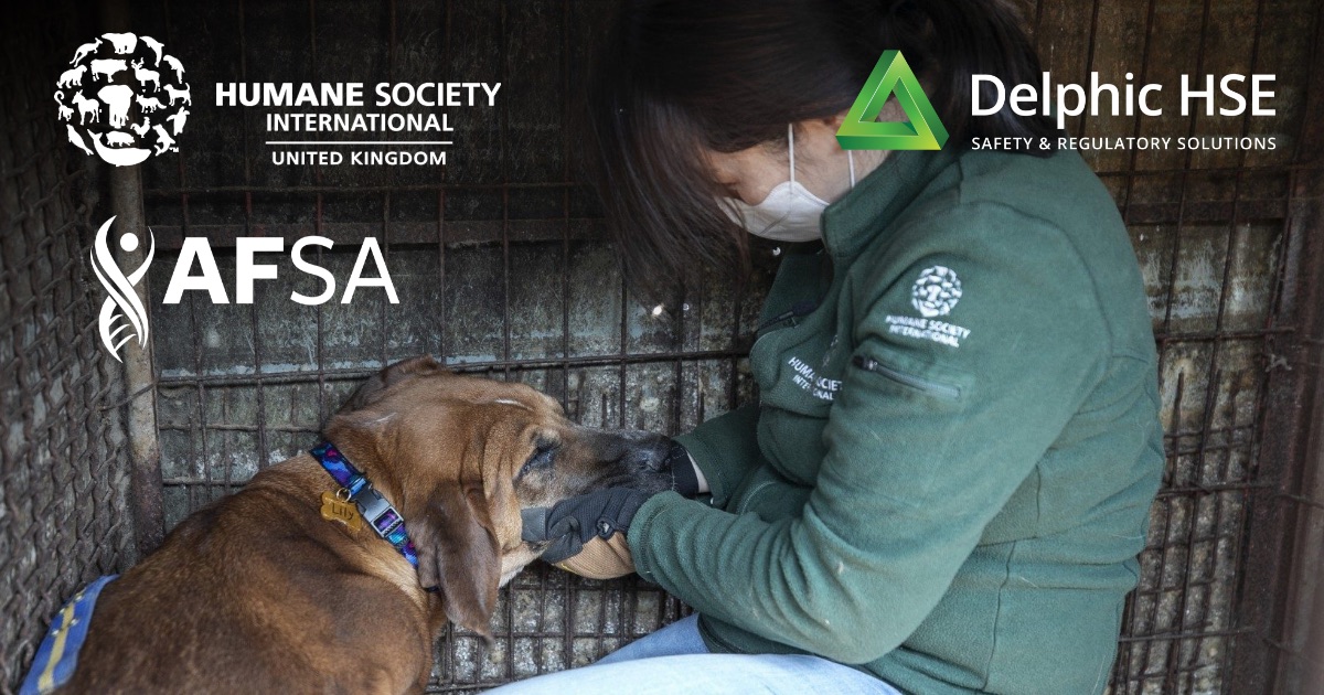 Humane Society International Collaboration Delphic HSE