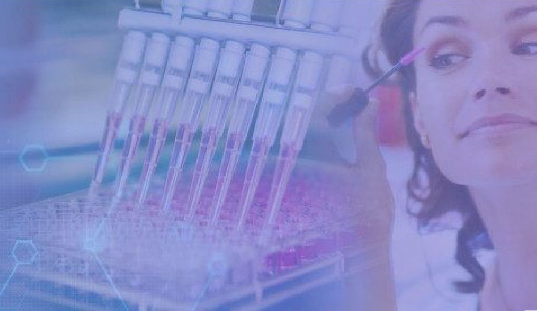 Education and training program in animal-free safety assessment of chemicals